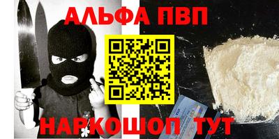 гидра Кингисепп