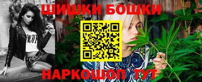гидра Кингисепп