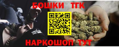 гидра Кингисепп