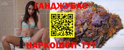 гидра Кингисепп