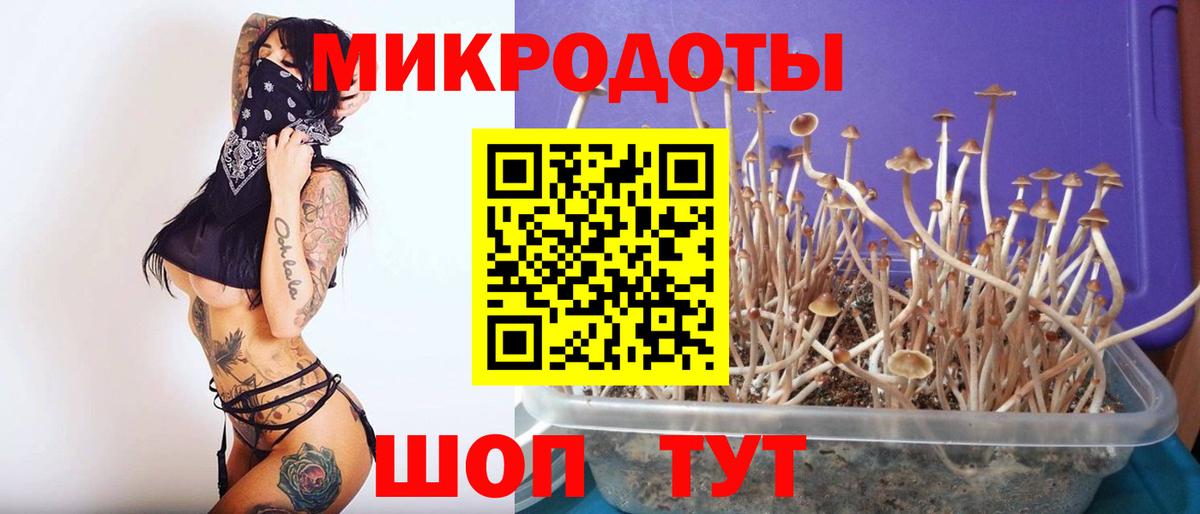 Галлюциногенные грибы ЛСД  Вход с VPN  Куйбышев  Галлюциногенные грибы ЛСД 