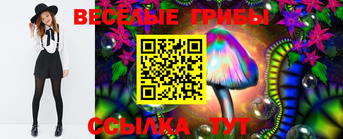 Псилоцибиновые грибы Magic Shrooms Куйбышев